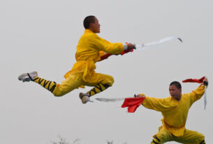 Kung Fu: Tradição, Técnica e Disciplina