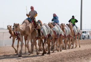 Você Sabia? A Corrida de Camelos é Um dos Esportes Mais Antigos e Valiosos do Oriente Médio